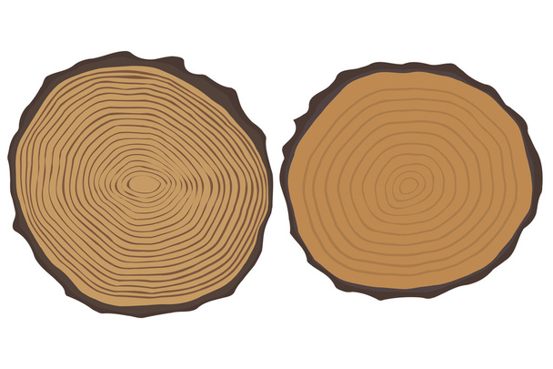 Wood texture and elements isolated. Vector illustration - Vector, Image