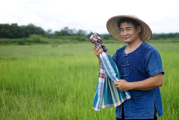 Der asiatische Bauer steht auf dem Reisfeld, trägt Hut, blaues Hemd, hält einen thailändischen Lendenschal, um sich während der Arbeit den Schweiß abzuwischen. Konzept: Beruf Landwirtschaft. Landleben. Fleißig. - Foto, Bild