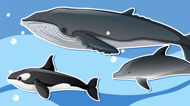 Miniatuur ontwerp met walvis en dolfijn illustratie - Vector, afbeelding
