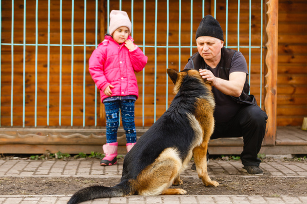 Ο άνθρωπος επηρεάζει το σκυλί, υπάκουος και στοργικός σκύλος, αιχμάλωτοι σκύλοι τραβούν το κεφάλι τους μέσα από τα κάγκελα, ο νεαρός ταΐζει ένα σκυλί, ο άνθρωπος εκπαιδεύεται - Φωτογραφία, εικόνα