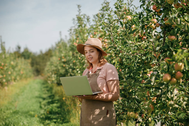 Attractive female agronomist or farmer with laptop standing in apple orchard and checking fruit, makes notes. Agriculture and gardening concept. Healthy nutrition - Photo, image