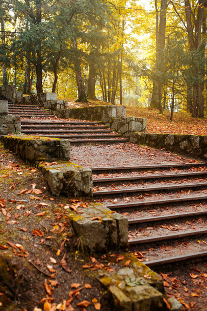 steps in the autumn park covered with leaves - Foto, afbeelding