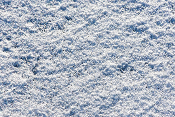 primi piani fiocchi di neve congelati
  - Foto, immagini
