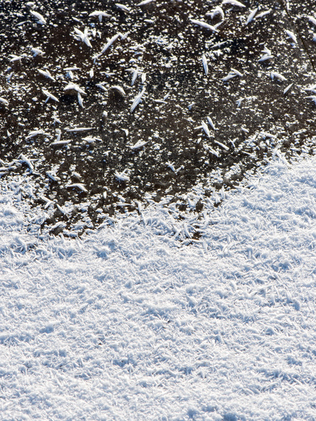 zbliżenie, zamrożone płatki śniegu  - Zdjęcie, obraz