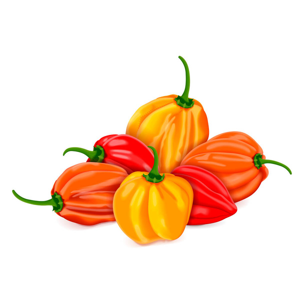 Groep rode, oranje en gele habanero chili pepers. Capsicum chinense. Verwarm chili peper. Verse biologische groenten. Vector illustratie geïsoleerd op witte achtergrond. - Vector, afbeelding