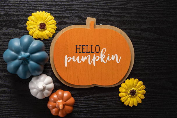Hello Pumpkin flat lay, top down view, with colorful pumpkins and dried sunflowers on a black wood background - Photo, Image