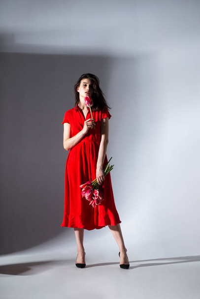 フル長いですビューのAエレガントなブルネット若い女性で赤いドレス保持a花束のチューリップとスピン、隔離された灰色の背景. - 写真・画像