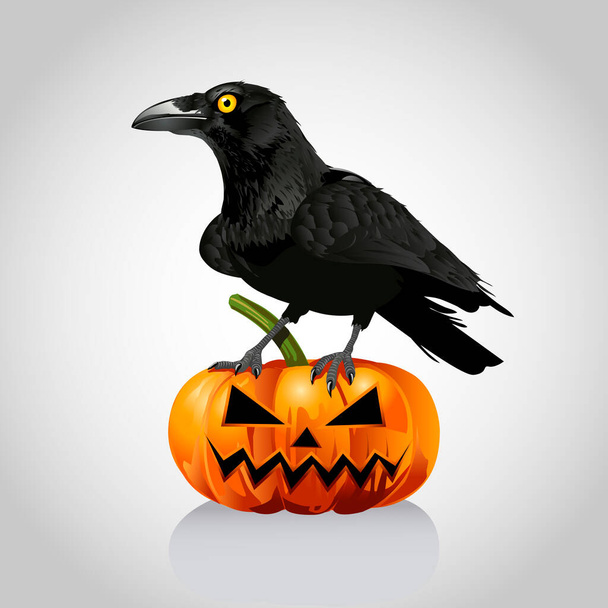 Hand drawn halloween crow and pumpkin illustration. Raven and pumpkin. - Vector, Image