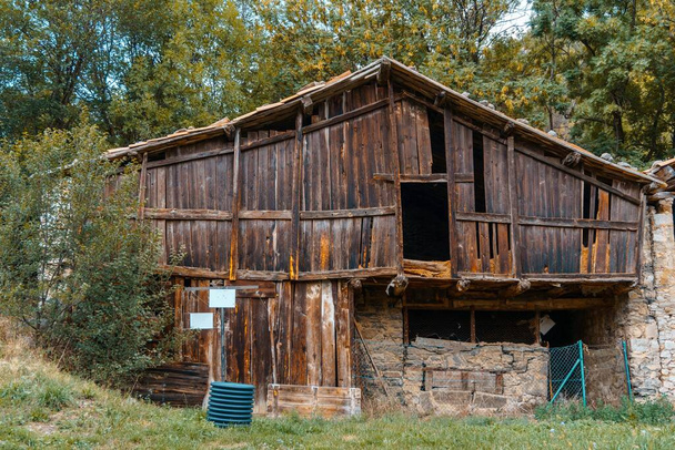 starý dřevěný dům v lese - Fotografie, Obrázek