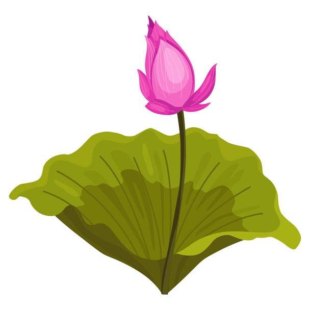Lotus. Pinkfarbene Blume. Stamm und Blätter für Werbung oder Einladung. Blüte, Knospenöffnung, eine Wasserpflanze. 3D-Design. Vereinzelte Objekte für die Gestaltung. - Vektor, Bild