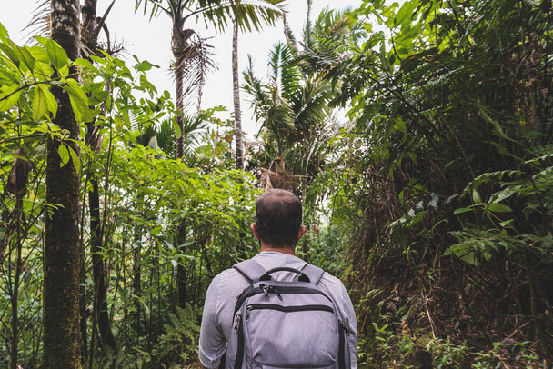 Férfi túrázó hátizsák túrázás gyalogosan a trópusi esőerdőkben a felhős napon El Yunque Puerto Rico - Fotó, kép