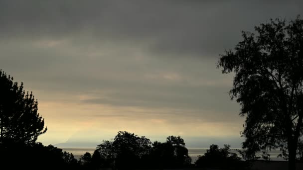 Paysage d'arbres, de nuages et de lacs. Temps écoulé dans la journée nuageuse. Lausanne, Suisse. Beauté dans la nature. - Séquence, vidéo
