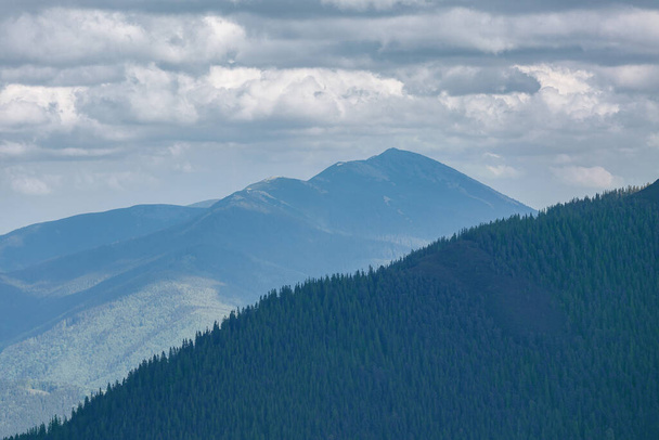 Літній гірський пейзаж вдень під хмарним небом. Камені та гірські сосни на передньому плані. Активний спосіб життя і піші прогулянки в горах
. - Фото, зображення