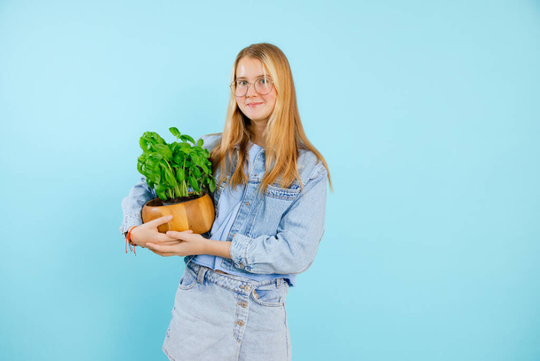 Nice teenage girl hold in hands green houseplant in wooden pot on empty blue background, free copy space. Photo of charming young lady growing indoor plant. Home flower grower, plant care. - Foto, Imagem