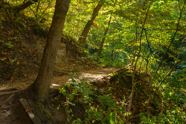 米国イリノイ州スターヴ・ロック州立公園の秋の風景を通るハイキングコース. - 写真・画像