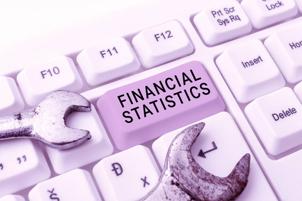 Affichage conceptuel Statistiques financières, mots écrits sur un ensemble complet de données sur les stocks et les flux d'une entreprise - Photo, image