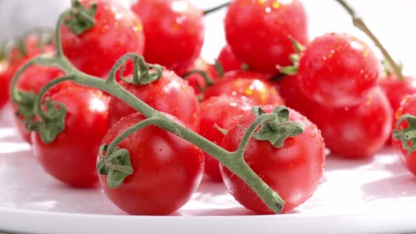 Closeup of cherry tomatoes. High quality 4k footage - Materiał filmowy, wideo