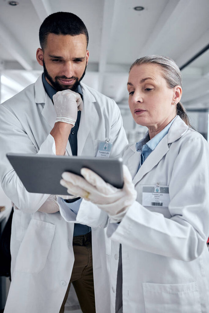 Tablet, science and research with a man and woman scientist working on the internet in their laboratory. Innovation, technology and analytics with a medicine team at work in collaboration in the lab. - Photo, Image