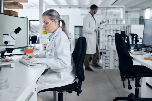 Laboratory woman, microscope or computer typing in cancer research, medical healthcare innovation or insurance medicine. Mature DNA scientist or science ideas with man in teamwork collaboration study. - Foto, afbeelding