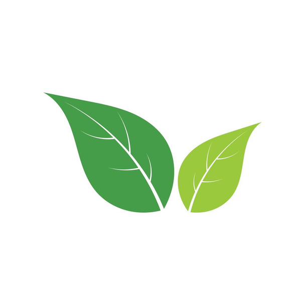 Logos of green Tree leaf ecology nature element vector - Διάνυσμα, εικόνα