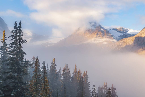 Ομίχλη που περιβάλλει τα βουνά και τα δέντρα - Φωτογραφία, εικόνα