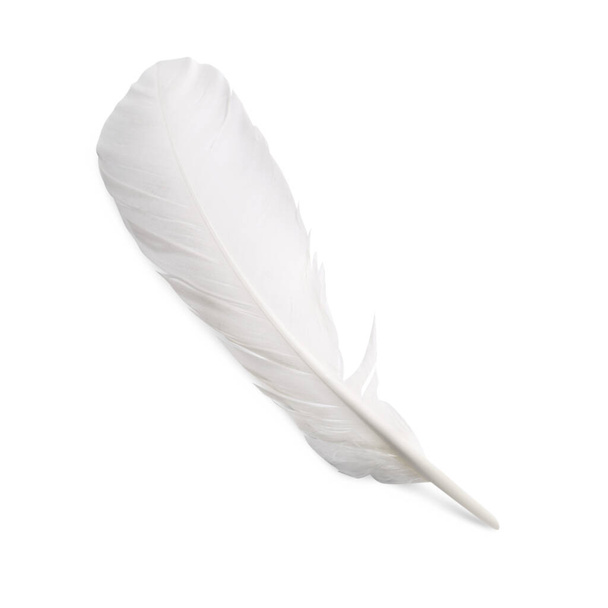 One fluffy beautiful feather isolated on white, top view - Zdjęcie, obraz