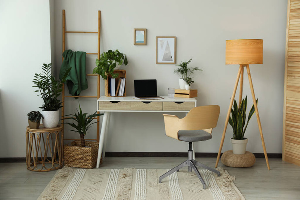 Home office interior with different beautiful houseplants - Φωτογραφία, εικόνα