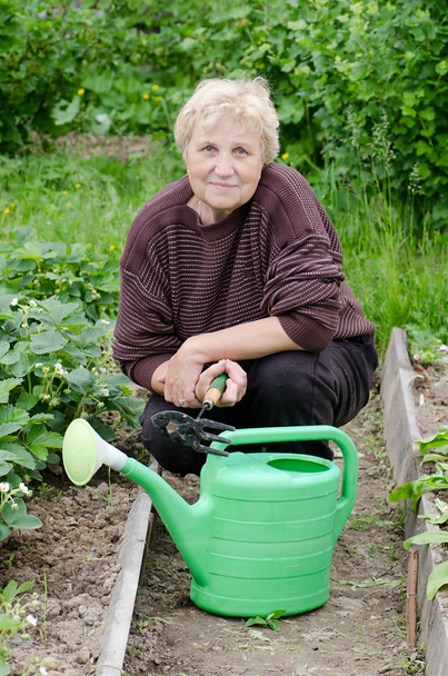 The elderly woman works on a kitchen garden - Fotó, kép