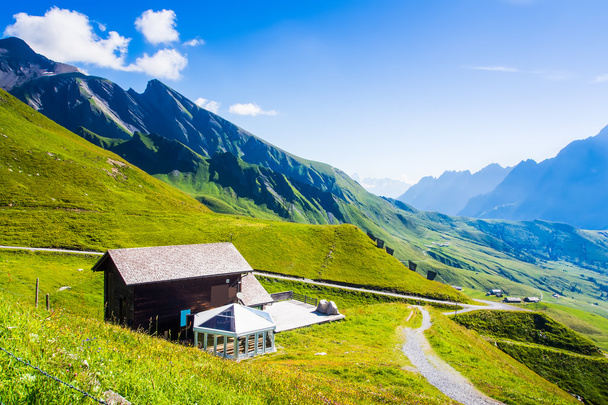 スイスの美しさ、ユングフラウ下の牧草地 - 写真・画像