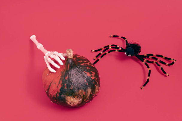 Spinne, Kürbis und Skelett Hand auf rotem Hintergrund. Minimale horizontale Komposition, Konzept der herbstlichen Halloween-Feier - Foto, Bild