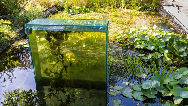 Fishbowl em uma lagoa em Hortus botanicus de Alkmaar na Holanda do Norte Países Baixos - Foto, Imagem
