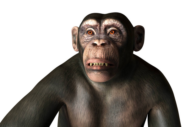 Monkey with upset face expression, conceptual 3D illustration. Mokeypox awareness - Photo, Image