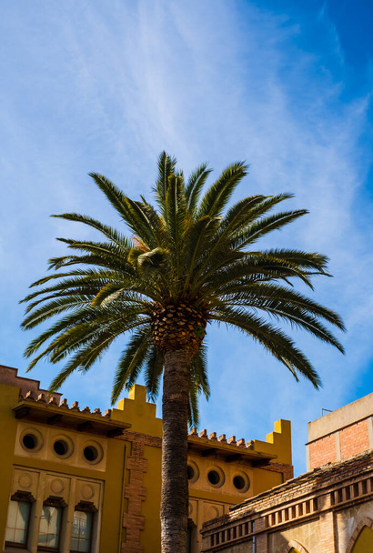 Будівля, пальми і сонячне блакитне небо. Вілафранка дель Пенедес. Каталонія (Іспанія) - Фото, зображення