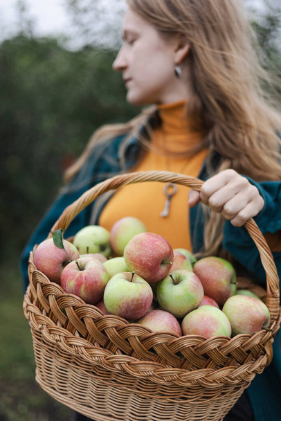 girl and basket  with juicy apples in the garden. aesthetics of rural lif - Foto, imagen