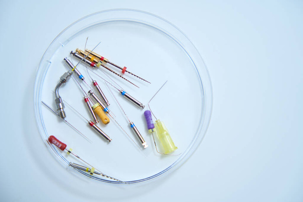 Burs for root canal treatment in a transparent round case. Dental clinic - 写真・画像