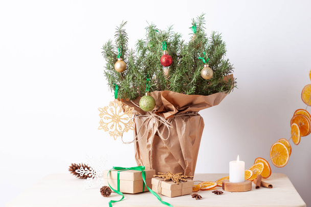 Zero Waste Weihnachtsdekoration mit Rosmarin als alternativem Weihnachtsbaum auf weißem Hintergrund. Nahaufnahme, Kopierraum - Foto, Bild