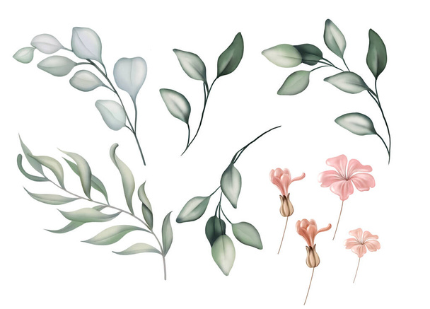 Elegancki zestaw z liśćmi eukaliptusa i kwiatami. Ilustracja - Zdjęcie, obraz