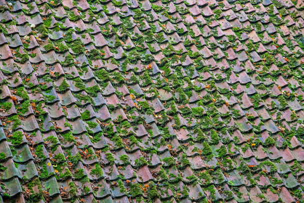 緑の苔と地衣類と古い屋根瓦の背景。ヨーロッパの古代建築の古いタイル張りの屋根のショット - 写真・画像