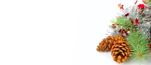 Christmas decoration of fir branch and pine cone isolated on white background. Wide photo. Free space for text. - Foto, afbeelding