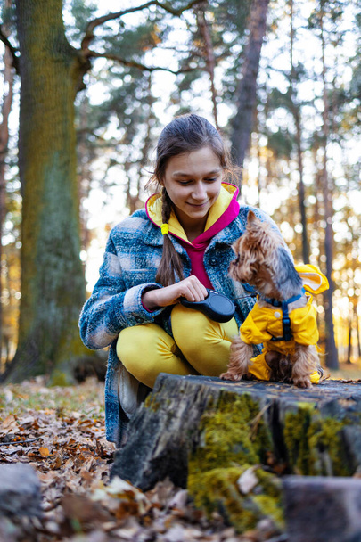 Foto de cerca, una chica sosteniendo un perro terrier biewer y mirando hacia otro lado en el parque de otoño. Caminar con concepto de mascota.   - Foto, imagen