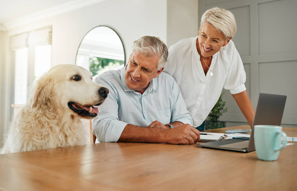 Gelukkig senior paar in Australië huis met hond, oudere man van plan pensioen budget op laptop en internetverbinding. Onderzoek financiën in de woonkamer, huisdier ontspannen in de familie tijd en vrouw glimlach. - Foto, afbeelding