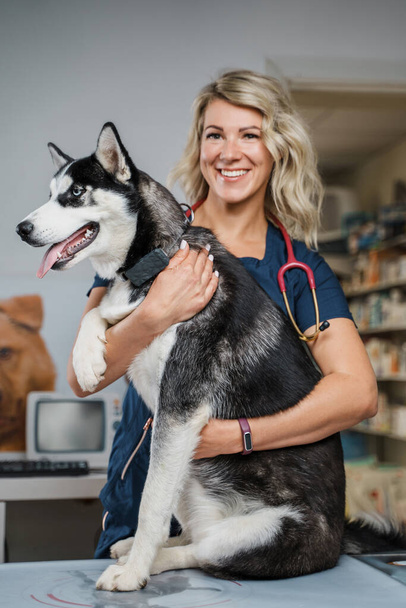 Disparo de perro alegre y su propietaria femenina en el moderno hospital veterinario. - Foto, imagen