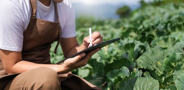 Farmer man using digital tablet computer in field, technology application in agricultural growing activity - Foto, Bild