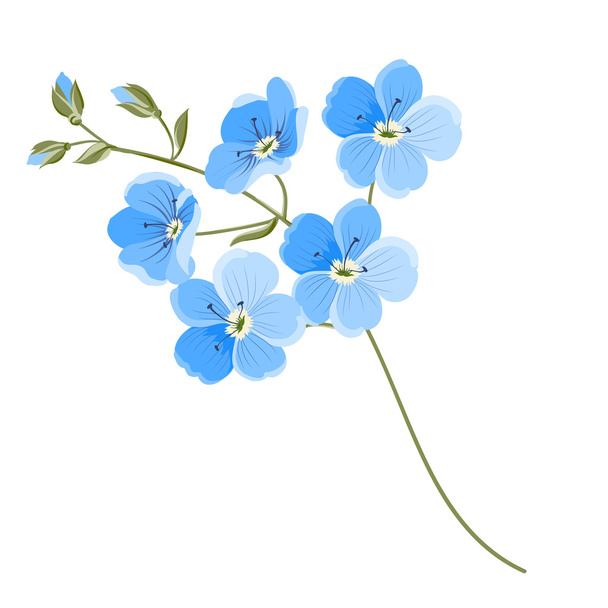Цветок льна
 - Вектор,изображение