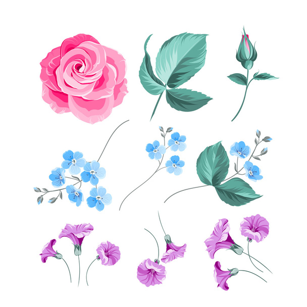 Set of flowers. - Vector, Image