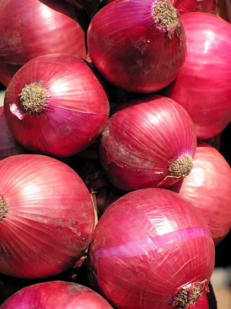 Cebollas rojas
 - Foto, imagen