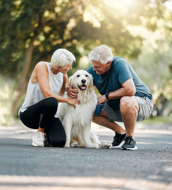 Dog walk, nature and senior couple walking their pet for exercise on a road in Germany together. Happy, calm and healthy elderly man and woman training their animal on a street park in summer. - 写真・画像