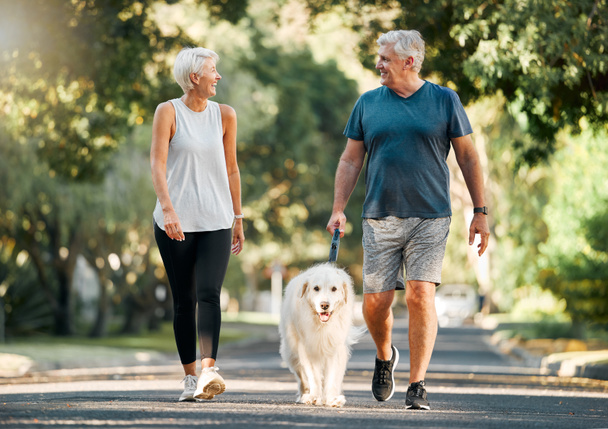 Retirement, fitness and walking with dog and couple in neighborhood park for relax, health and sports workout. Love, wellness and pet with old man and senior woman in outdoor morning walk together. - Photo, Image