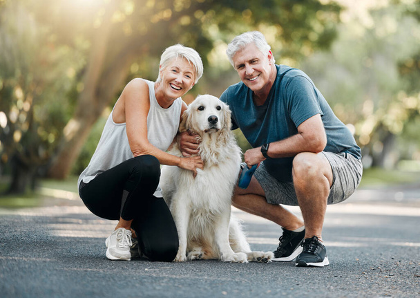 Happy senior couple, walking dog in nature park and smile bonding with their golden retriever together. Healthy living in retirement, being physically active by exercising and relaxing time with pet. - Foto, imagen