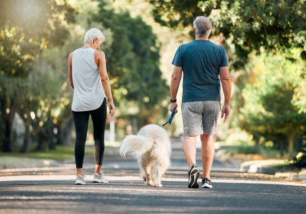Senior couple, dog walk and nature park road during exercise, walking and leisure during a stroll through the woods. Old man and woman being active for energy and living healthy with a pet outside. - Фото, изображение